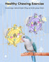 2 Pawfly Pcs Bird Toys for Parakeets, Colorful Spinning Wheel Chew Toys, Interactive Spinner Rattle Parrot Toys