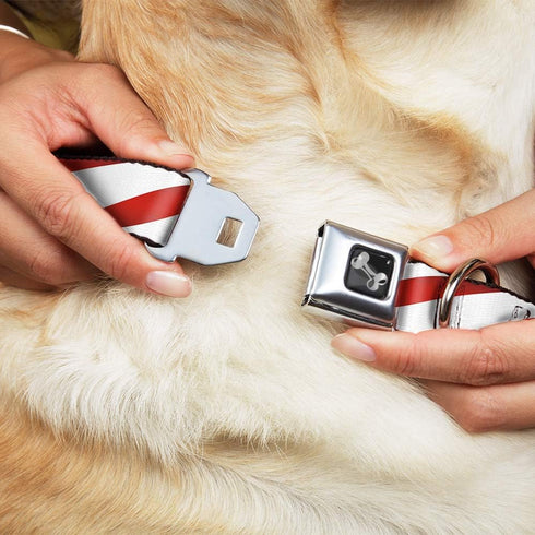 Buckle-Down Seatbelt Buckle Dog Collar, Large, Candy Cane, 1.5" Wide, Fits 18-32" Neck