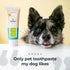 Oxyfresh Premium Dog & Cat Dental Gel Toothpaste, 4oz - Best Teeth Cleaning Gel for Pets