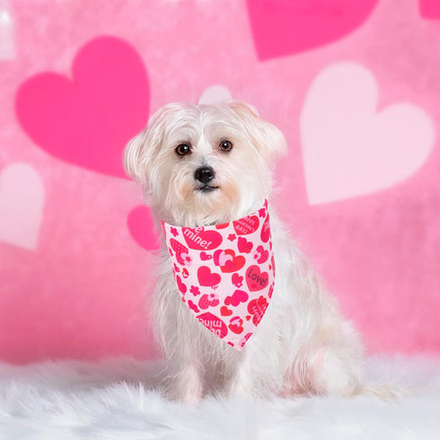 ADOGGYGO 4 Pack Valentine Dog Bandana Triangle Pet Scarf, Red Pink Heart Pattern for Medium Large Dogs (Large)