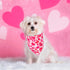 ADOGGYGO 4 Pack Valentine Dog Bandana Triangle Pet Scarf, Red Pink Heart Pattern for Medium Large Dogs (Large)