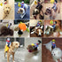 Dog Costume Pet Puppy Suit Cowboy Rider Style Carrying Costume for Halloween Christmas Party Photograph-Large