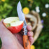 Opinel No.06 Folding Pocket Knife with Beechwood Handle