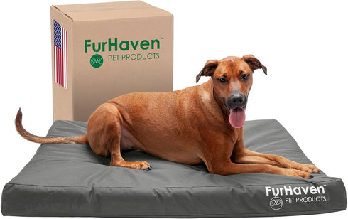 Furhaven Water-Resistant Orthopedic Dog Bed - For Large Dogs up to 95 lbs, Removable Washable Cover, Stone Gray,