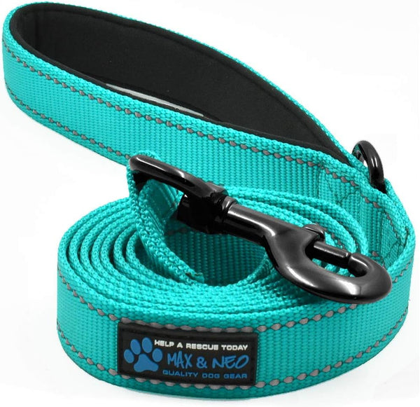 Max and Neo Small Dog Reflective Nylon Leash, We Donate a Leash to a Dog Rescue for Every Leash Sold (Teal)