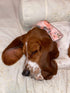 Elegant Little Tail Dog Collar with Bow, Adjustable Comfortable Bowtie Dog Collar for Small Medium Large Dogs
