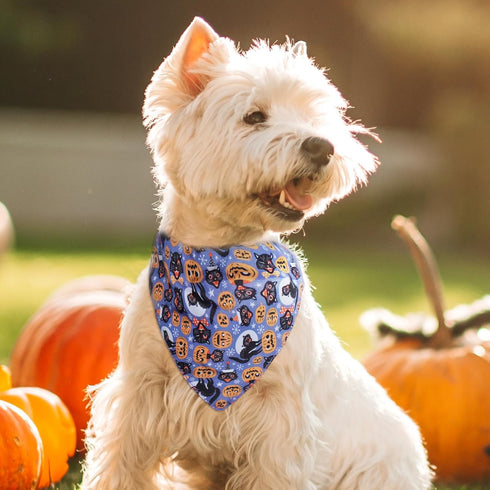 Halloween Dog Collar with Detachable Bandana, Adjustable Soft Pet Collar Set for Small Medium Large Dogs