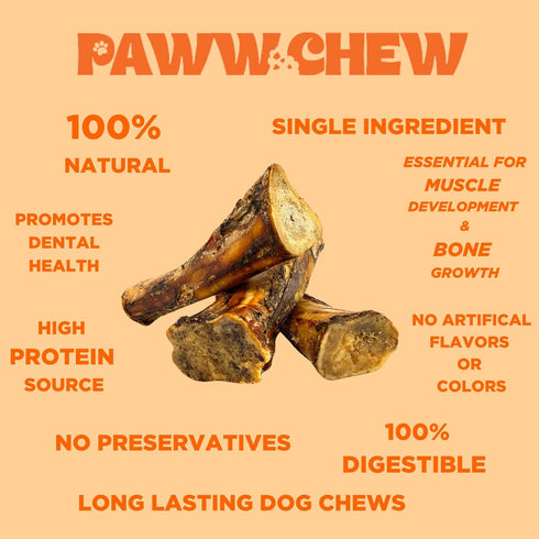 100% 7-8 (3 Pack) PAWW CHEW Natural Dog Bones, Single Ingredient inc Made in USA, Extra Large, Grass-Fed Beef Marrow