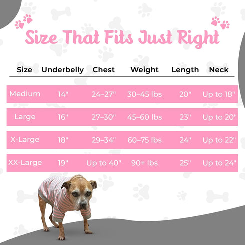 Tooth & Honey Big Dog Stripe Shirt – Pullover with Full Belly Coverage – Pink and Grey Shirt for Extra Large Dogs