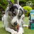 6" (10pc) 100% SUPERCAN BULLYSTICKS Braided Beef Bully Sticks for Small Medium Large Dogs - Natural Dog Chews - Long