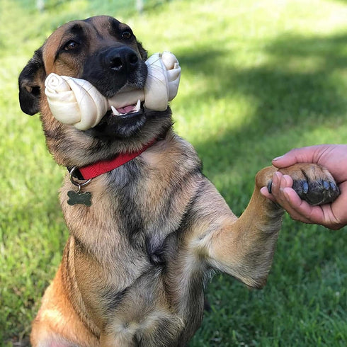 Pet Factory 12" American Beefhide Knotted Bone Dog Chew Treat - Chicken Flavor, 1 Count/1 Pack