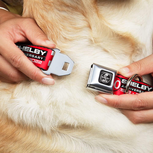 Dog Collar, Seatbelt Buckle Shelby 60th Anniversary Checker Red Black White, 16 to 23 Inches, 1.5 Inch Wide
