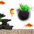 5 Pcs Plastic Aquatic Plant Pots, Aquarium Planter with Suction Cups for Fish Tank Holder