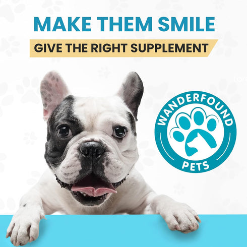 Wanderfound Pets 10-in-1 Dog Multivitamin, Chewable Vitamins with Glucosamine, D3, and MSM for Dog Health, 60 Tablets