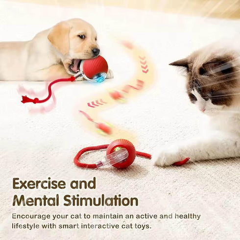 2 PCS Interactive Cat Toy Rolling Ball Chewie Viral Dog Ball, Smart Automatic Rolling Pet Balls,Automatic Moving