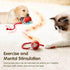 2 PCS Interactive Cat Toy Rolling Ball Chewie Viral Dog Ball, Smart Automatic Rolling Pet Balls,Automatic Moving