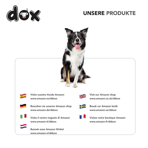 DDOXX Nylon Dog Leash, 6.6 ft, 3-Way Adjustable Leash for Dogs - XS (Blue), Red Dog Leash
