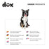 DDOXX Nylon Dog Leash, 6.6 ft, 3-Way Adjustable Leash for Dogs - XS (Blue), Red Dog Leash