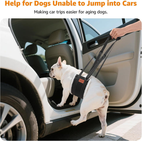 LOOBANI Portable Dog Sling for Back Legs, Hip Support Harness for Canine Aid and K9 Rehabilitation