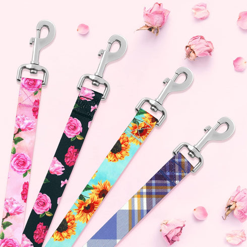 5 ft Black Dog Leash for Medium Breed Dogs, Girl