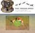WOSPORTS Camera,24MP 1080P Mini Trail HD Game Camera Motion Activated with IR Night Vision Waterproof Video Deer Cam