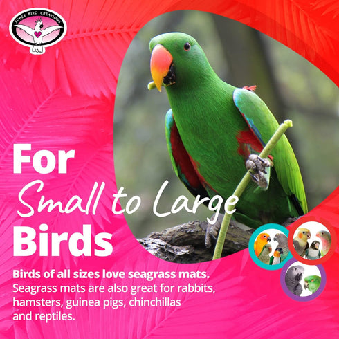 SB50008 7"x12" (3 Pack) Super Bird Creations Seagrass Mat for Cage Decor, Pet Enrichment and Boredom Relief - Versatile