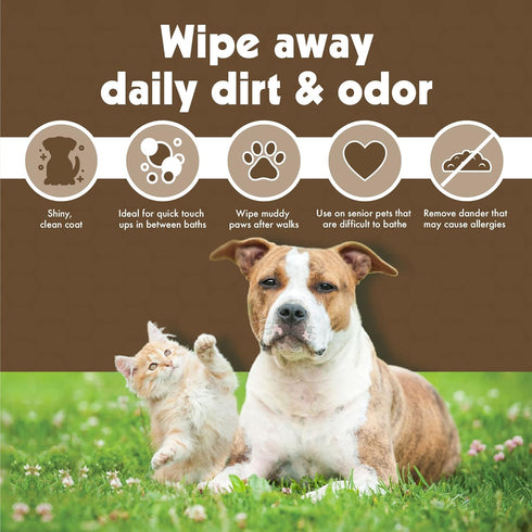 Petkin Mega PetWipes - 200 Oatmeal Wipes for Dogs and Cats, Use on Face, Paws, Ears, Body, Ideal for Home or Travel