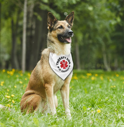 Therapy Dog in Training Bandana, Classical White Printing Dog Scarf Accessories, Pet Scarf Gift (J14)