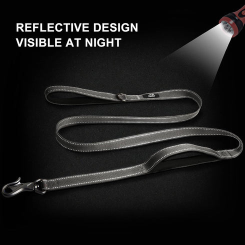 TwoEar 6FT 1IN Strong Gray Dog Leash, 2 Padded Handles, Traffic Handle for Extra Control, Reflective Lead for All Dogs