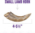 Icelandic+ Lamb Horn with Marrow - Small 4-5.5" Dog Chew, All-Natural Edible Treat for Puppies and Small Dogs