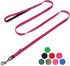 Hyhug Pets Premium Adjustable Leash - 4 to 6 Feet Durable Nylon with Soft Neoprene Handle for Young Dogs, Rose Red Pink