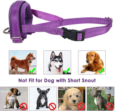 SlowTon Soft Dog Muzzle, Adjustable Padded Nylon Muzzle for Large Medium Dogs, Anti Chewing Barking Biting (Purple, S)