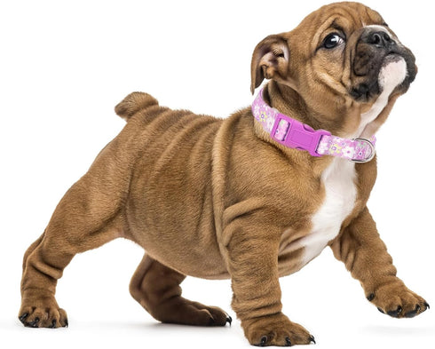 Girl Dog Collar with Purple Floral Patterns, Adjustable Cute Soft Collar with Quick Release Buckle for Small Medium