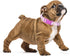 Girl Dog Collar with Purple Floral Patterns, Adjustable Cute Soft Collar with Quick Release Buckle for Small Medium