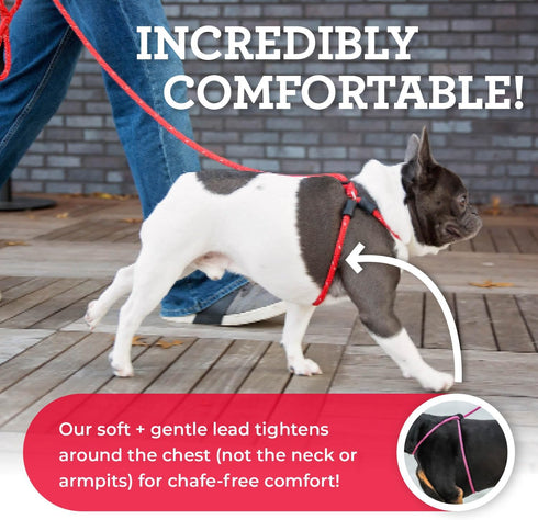 Harness Lead No Pull Dog Harness and Leash Set, Anti Pull Design for All Breeds, One-Piece Cushioned Rope