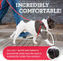 Harness Lead No Pull Dog Harness and Leash Set, Anti Pull Design for All Breeds, One-Piece Cushioned Rope