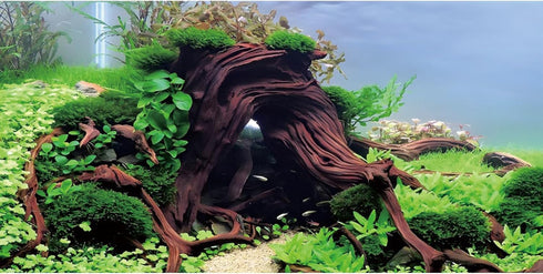 AWERT 36x24 inches Wood Aquarium Background, Seaweed River Bed & Lake Fish Tank Background, Seagrass Vinyl