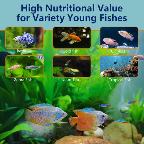90% 1 OZ Brine Shrimp Eggs Fish Food - Hatch Rate Artemia Cysts Aquatic Foods for Baby Aquarium Fish Freshwater