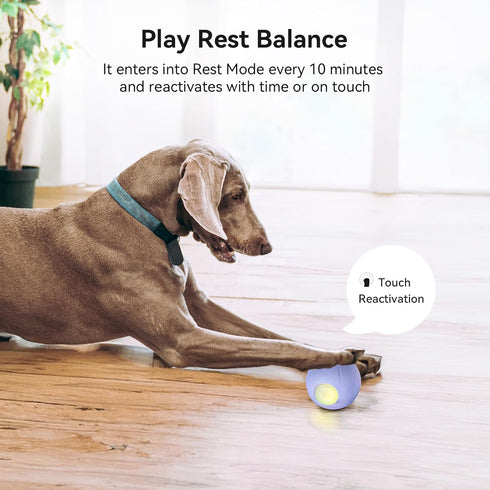 Cheerble Smart Interactive Dog Toy - Wicked Ball, Automatic Moving Bouncing Ball for Medium Large Dogs