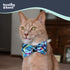 Huxley & Kent Pet Bow Tie for Dogs & Cats, Adjustable Collar Accessory, Blue Madras, Small