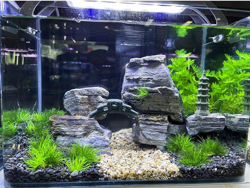 AQUA KT Aquarium Landscape Foreground Grass, Seaweed Green Plants for Marine Freshwater Fish Tank Decor