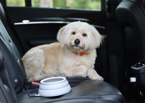 Collapsible Dog Water Bowl Large 34oz No Spill from Car Movement, Travel Dog Bowls, Less Splash Portable Pet Bowl for Road Trip, Cat Travel Accessories