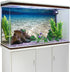 AWERT 24x16 inches Ocean Floor Aquarium Background, Underwater Fish Tank Background, Undersea Theme Aquarium Background