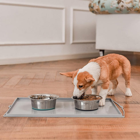 PEGGY11 Deep Stainless Steel Anti-Slip Dog Bowls, 2 Pack, 3 Cups for Food and Water