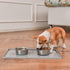 PEGGY11 Deep Stainless Steel Anti-Slip Dog Bowls, 2 Pack, 3 Cups for Food and Water
