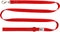 RC Pets 3/4" x 6 ft Primary Collection Dog Leash, Red