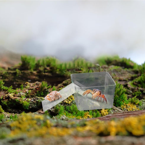 KeaJuidy 2 Pack Transparent Hermit Crab Water Tanks With Cuttable Climbing Ramp, Ideal Habitat and Toy for Small