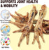 Aovrmuz Dehydrated Chicken Feet Dog Treats Organic Nail-Free High Protein No Addictives Single Ingredient Paws All