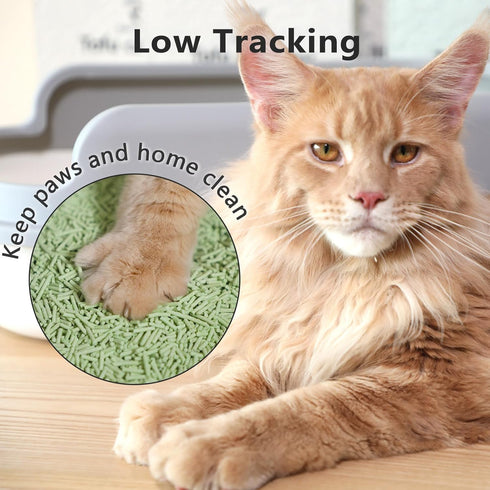 Tofu Cat Litter, 24 lb, Ultra Absorbent, Strong Clumping, Flushable, Low Tracking, Dust-Free, Green Tea (4 Packs)