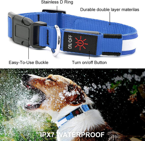 YFbrite Ultra Light Adjustable LED Dog Collar, Rechargeable Glowing in The Dark for Small, Medium, Large Dogs, Blue